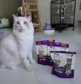 🐾 5 Signs Your Cat Needs a Protein Boost (And How Kelly & Co’s Can Help)