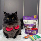 🐈 Cat Treats With a Purpose: Why Our SI Range Is the Healthy Choice